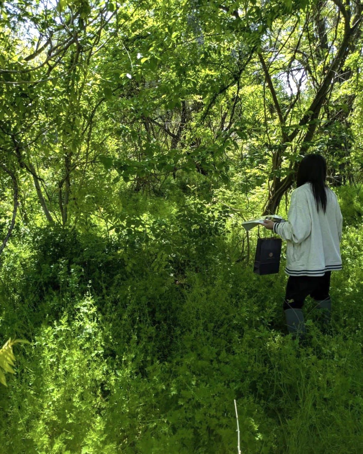 木と草に覆われた耕作放棄地と、そのなかに立つ人